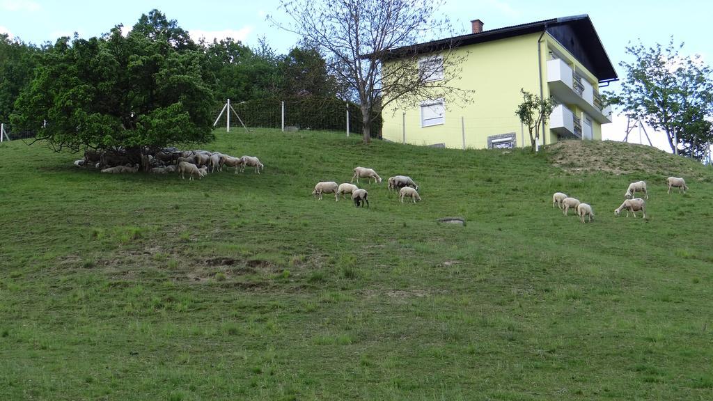 Relax Center Olimian Daire Podčetrtek Dış mekan fotoğraf
